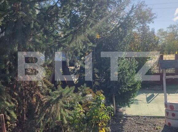 Casa de vânzare 6 camere Cocorastii Colt - 181411CV | BLITZ Ploieşti | Poza13