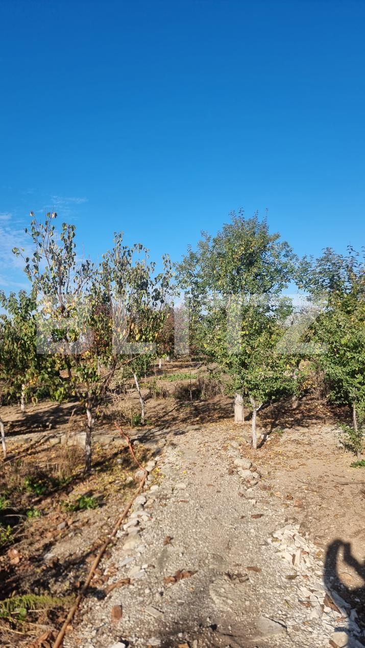 Casa de vânzare 6 camere Cocorastii Colt - 181411CV | BLITZ Ploieşti | Poza23