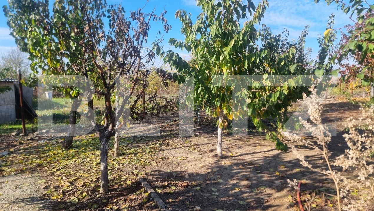 Casa de vânzare 6 camere Cocorastii Colt - 181411CV | BLITZ Ploieşti | Poza22