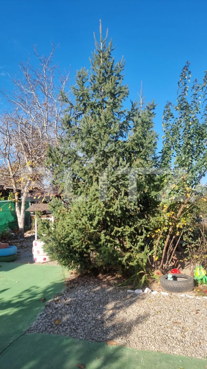 Casa de vânzare 6 camere Cocorastii Colt - 181411CV | BLITZ Ploieşti | Poza24