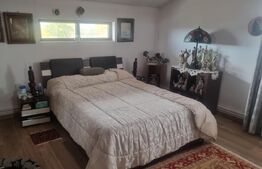 VILA 3 HA teren + 3 foraje apa