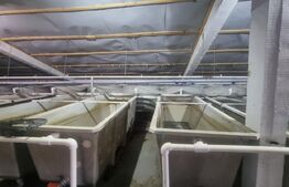 PASTRAVARIE /VILA 160 mp/3 HA teren