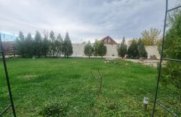 VILA 3 HA teren + 3 foraje apa