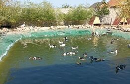 VILA 3 HA teren + 3 foraje apa