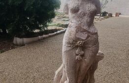 VILA 3 HA teren + 3 foraje apa