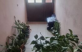 VILA 3 HA teren + 3 foraje apa