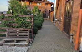 Proprietate multifunctionala,VILA,Teren 28000 mp+afacere piscicultura functionla