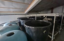 PASTRAVARIE /VILA 160 mp/3 HA teren