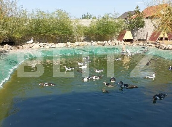 Casa de vânzare 8 camere Baba Ana - 181708CV | BLITZ Ploieşti | Poza25