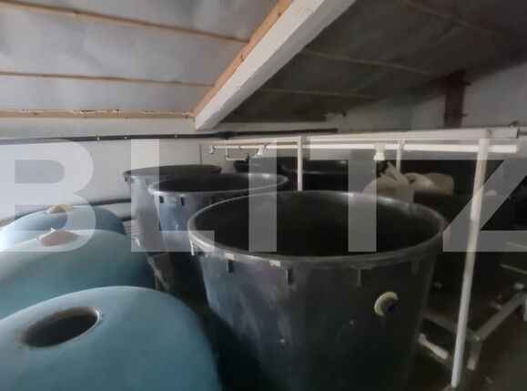 Casa de vânzare 8 camere Baba Ana - 181708CV | BLITZ Ploieşti | Poza16