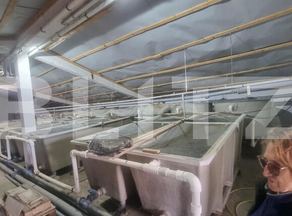 Casa de vânzare 8 camere Baba Ana - 181708CV | BLITZ Ploieşti | Poza19
