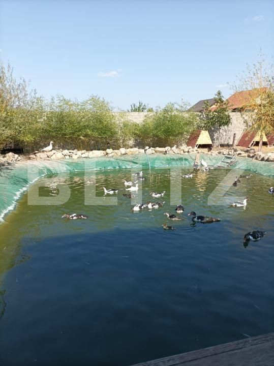 Casa de vânzare 8 camere Baba Ana - 181708CV | BLITZ Ploieşti | Poza25