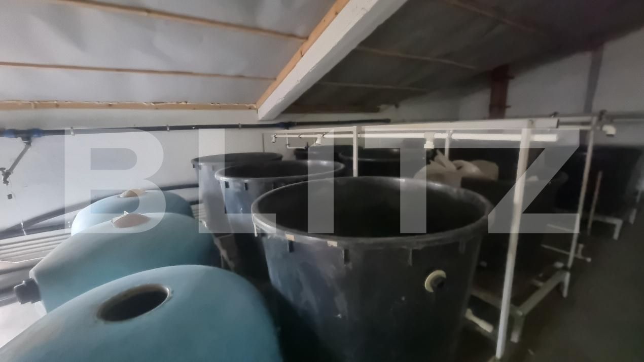 Casa de vânzare 8 camere Baba Ana - 181708CV | BLITZ Ploieşti | Poza16