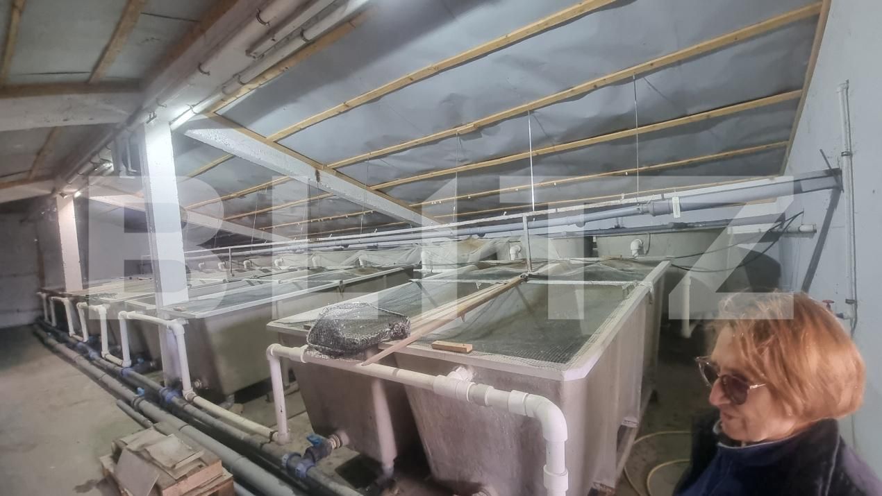 Casa de vânzare 8 camere Baba Ana - 181708CV | BLITZ Ploieşti | Poza19