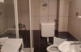 Case idependente aceeași curte, 152.79 mp, zona Mărășești–Cantacuzino