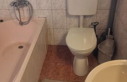 2 CASE  275 mp PLOIESTI ,renovate 2022