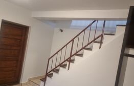 Case idependente aceeași curte, 152.79 mp, zona Mărășești–Cantacuzino