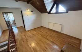 Case idependente aceeași curte, 152.79 mp, zona Mărășești–Cantacuzino