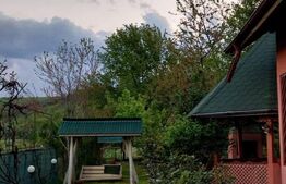 Vilă 7 camere, 200 mp, zona Măneciu Pământeni