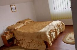 Vilă 7 camere, 200 mp, zona Măneciu Pământeni