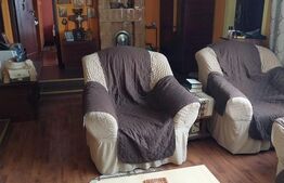 Vilă 7 camere, 200 mp, zona Măneciu Pământeni