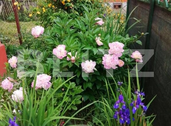 Casa de vânzare 7 camere Exterior Nord - 181739CV | BLITZ Ploieşti | Poza19