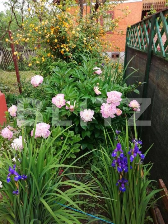 Casa de vânzare 7 camere Exterior Nord - 181739CV | BLITZ Ploieşti | Poza19