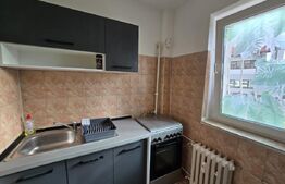 Garsonieră, 27.30 mp, zona Bulevard/Gara de Sud