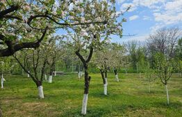 Vila cu teren 2.200 mp, sat Tăriceni-comuna Șirna