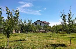 Vila cu teren 2.200 mp, sat Tăriceni-comuna Șirna