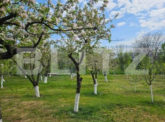 Casa de vânzare 5 camere Sirna - 181742CV | BLITZ Ploieşti | Poza25