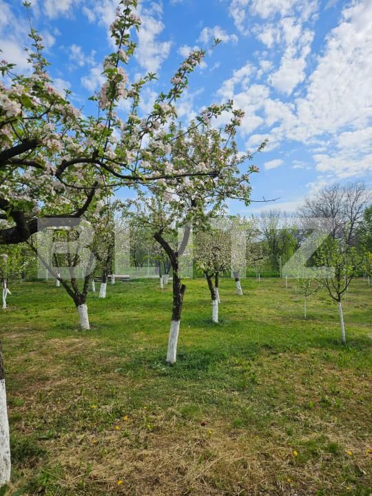 Casa de vânzare 5 camere Sirna - 181742CV | BLITZ Ploieşti | Poza25