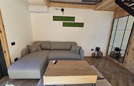 Cabane scandinave premium, vedere către pădure – investiție turistică în Sinaia