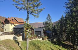 Cabane scandinave premium, vedere către pădure – investiție turistică în Sinaia
