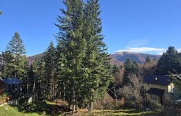 Cabane scandinave premium, vedere către pădure – investiție turistică în Sinaia