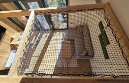 Cabane scandinave premium, vedere către pădure – investiție turistică în Sinaia