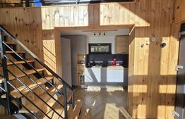 Cabane scandinave premium, vedere către pădure – investiție turistică în Sinaia