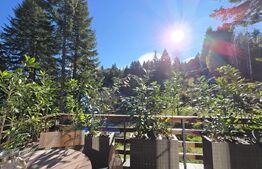 Cabane scandinave premium, vedere către pădure – investiție turistică în Sinaia