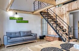 Cabane scandinave premium, vedere către pădure – investiție turistică în Sinaia