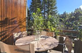 Cabane scandinave premium, vedere către pădure – investiție turistică în Sinaia