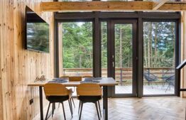 Cabane scandinave premium, vedere către pădure – investiție turistică în Sinaia