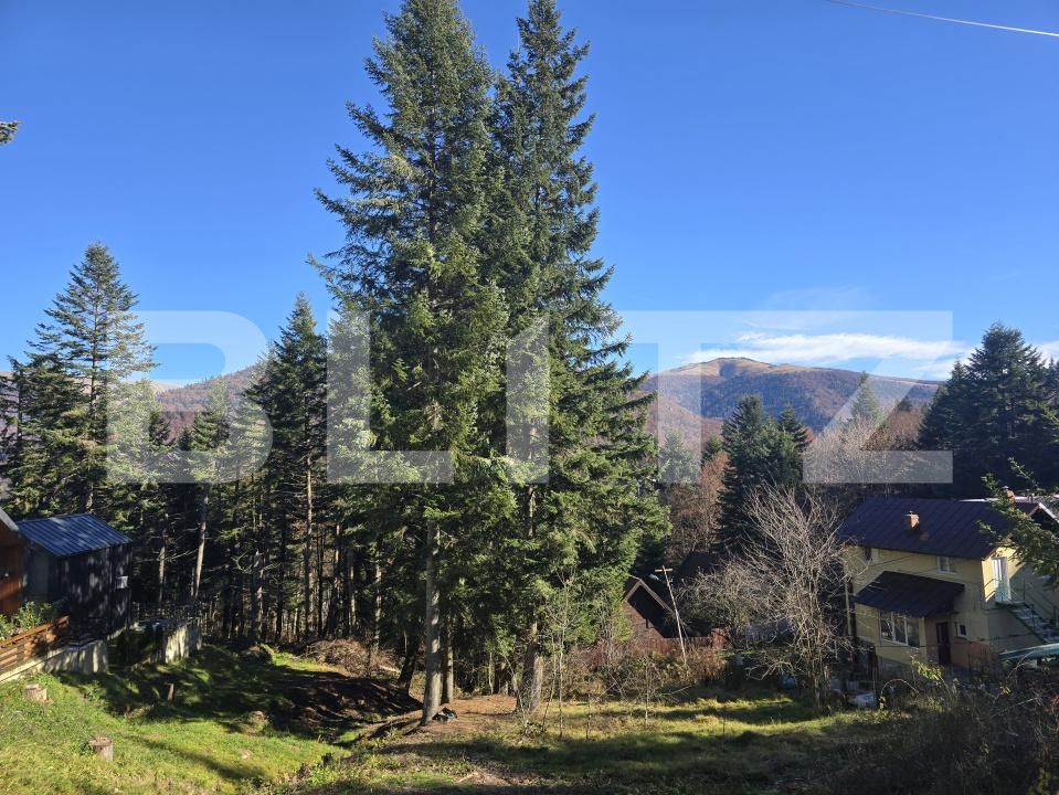 Casa de vânzare 2 camere Sinaia - 181956CV | BLITZ Ploieşti | Poza18