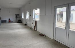 Hale industriale moderne – Puchenii Mari (Prahova)