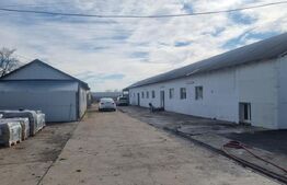 HALE INDUSTRIALE moderne – Puchenii Mari PH