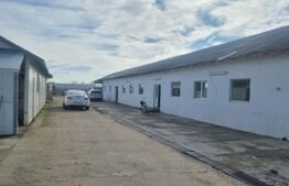 HALE INDUSTRIALE moderne – Puchenii Mari PH