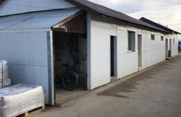 Hale industriale moderne – Puchenii Mari (Prahova)