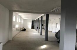 HALE INDUSTRIALE moderne – Puchenii Mari PH