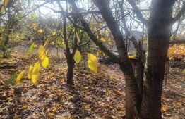  Casă unifamilială complet mobilată și utilată gata pentru mutare