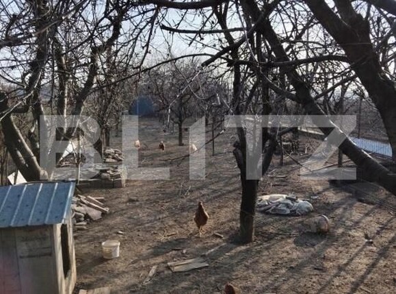 Casa de vânzare 4 camere Puchenii Mari - 182279CV | BLITZ Ploieşti | Poza11