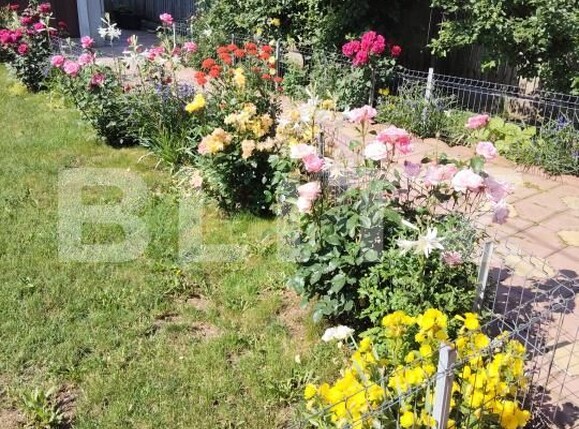 Casa de vânzare 4 camere Puchenii Mari - 182279CV | BLITZ Ploieşti | Poza6